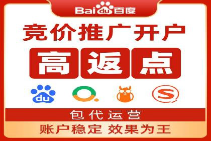百度SEO推广公司案例分析：成功案例解析